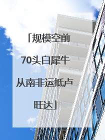 规模空前 70头白犀牛从南非运抵卢旺达