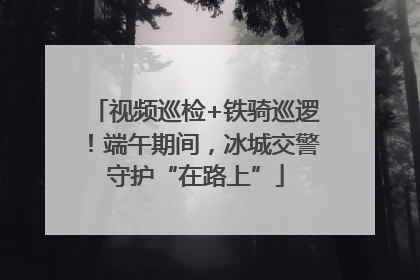 视频巡检+铁骑巡逻！端午期间，冰城交警守护“在路上”