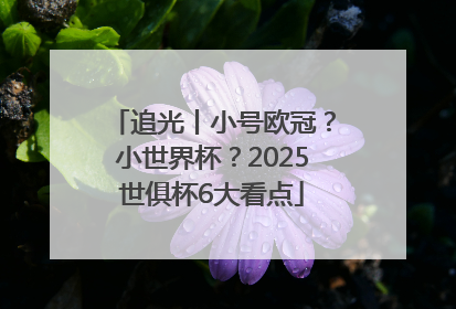追光丨小号欧冠？小世界杯？2025世俱杯6大看点
