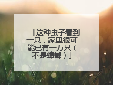 这种虫子看到一只，家里很可能已有一万只（不是蟑螂）