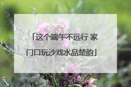 这个端午不远行 家门口玩沙戏水品楚韵