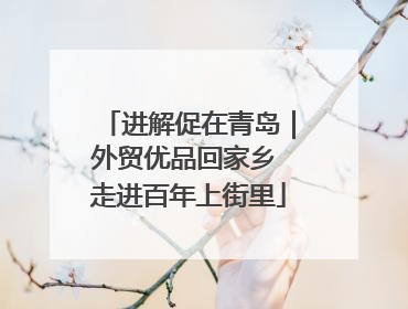 进解促在青岛｜外贸优品回家乡 走进百年上街里