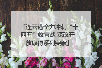 连云港全力冲刺“十四五”收官战 深改开放取得系列突破