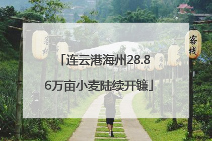 连云港海州28.86万亩小麦陆续开镰