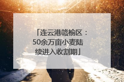 连云港赣榆区：50余万亩小麦陆续进入收割期
