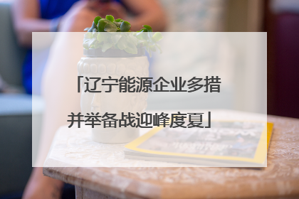 辽宁能源企业多措并举备战迎峰度夏