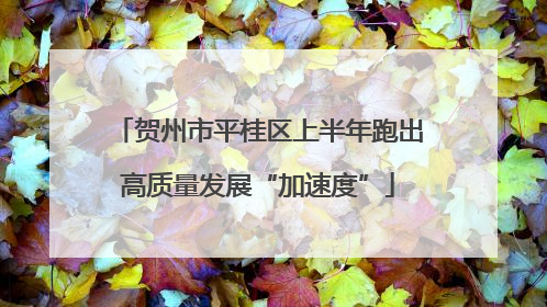 贺州市平桂区上半年跑出高质量发展“加速度”
