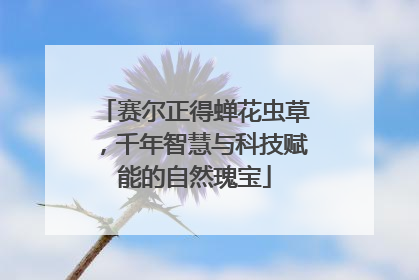 赛尔正得蝉花虫草，千年智慧与科技赋能的自然瑰宝