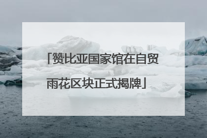 赞比亚国家馆在自贸雨花区块正式揭牌