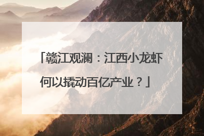 赣江观澜：江西小龙虾何以撬动百亿产业？