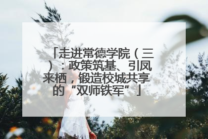 走进常德学院（三）：政策筑基、引凤来栖，锻造校城共享的“双师铁军”