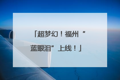 超梦幻！福州“蓝眼泪”上线！