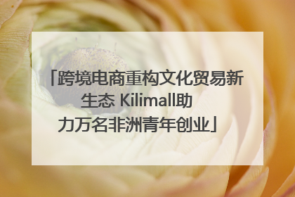 跨境电商重构文化贸易新生态 Kilimall助力万名非洲青年创业