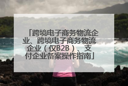跨境电子商务物流企业、跨境电子商务物流企业（仅B2B）、支付企业备案操作指南