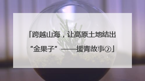 跨越山海，让高原土地结出“金果子”——援青故事②