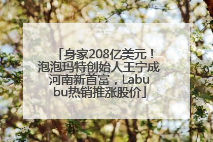 身家208亿美元！泡泡玛特创始人王宁成河南新首富，Labubu热销推涨股价