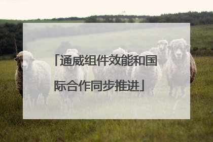 通威组件效能和国际合作同步推进