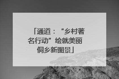 通道：“乡村著名行动”绘就美丽侗乡新图景