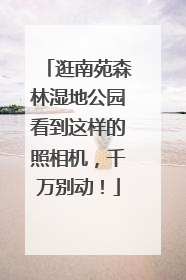 逛南苑森林湿地公园看到这样的照相机，千万别动！
