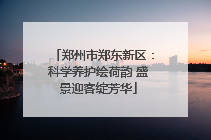 郑州市郑东新区：科学养护绘荷韵 盛景迎客绽芳华