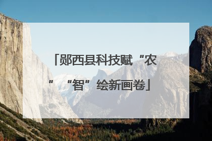 郧西县科技赋“农”“智”绘新画卷
