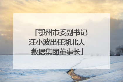 鄂州市委副书记汪小波出任湖北大数据集团董事长