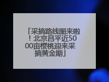 采摘路线图来啦！北京昌平近5000亩樱桃迎来采摘黄金期