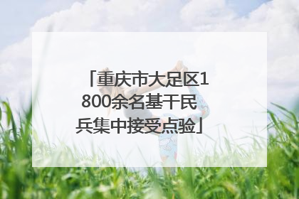 重庆市大足区1800余名基干民兵集中接受点验