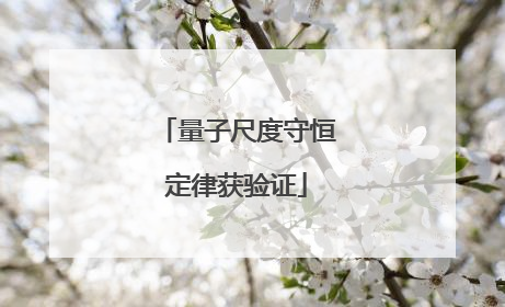 量子尺度守恒定律获验证