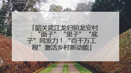 韶关武江龙归镇龙安村：“面子”“里子”“底子”同发力！“百千万工程”激活乡村新动能