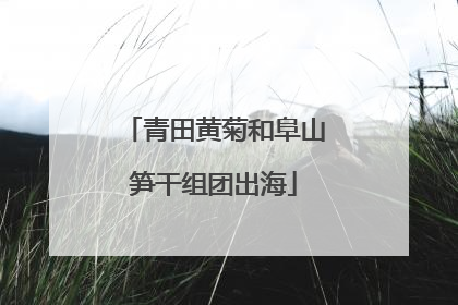 青田黄菊和阜山笋干组团出海