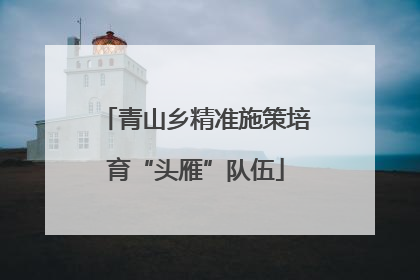 青山乡精准施策培育“头雁”队伍