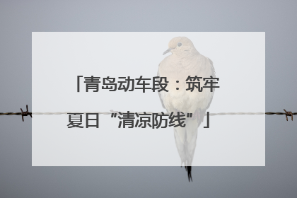 青岛动车段：筑牢夏日“清凉防线”