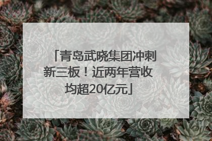 青岛武晓集团冲刺新三板！近两年营收均超20亿元