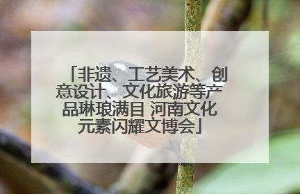 非遗、工艺美术、创意设计、文化旅游等产品琳琅满目 河南文化元素闪耀文博会