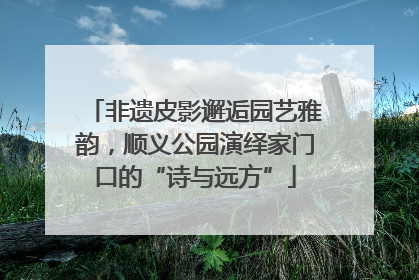 非遗皮影邂逅园艺雅韵，顺义公园演绎家门口的“诗与远方”