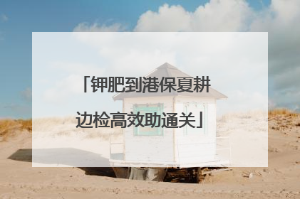 钾肥到港保夏耕 边检高效助通关