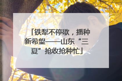 铁犁不停歇，播种新希望——山东“三夏”抢收抢种忙