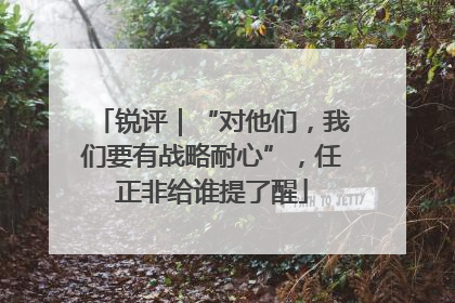 锐评｜“对他们，我们要有战略耐心”，任正非给谁提了醒