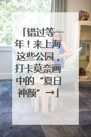 错过等一年！来上海这些公园，打卡莫奈画中的“夏日神颜”→