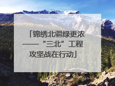 锦绣北疆绿更浓——“三北”工程攻坚战在行动