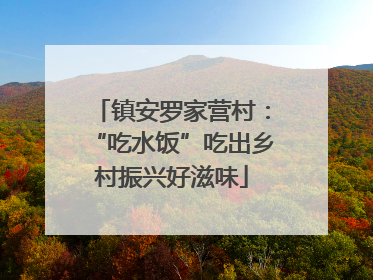 镇安罗家营村：“吃水饭”吃出乡村振兴好滋味