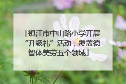 镇江市中山路小学开展“升级礼”活动，覆盖德智体美劳五个领域