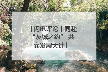 闪电评论｜同赴“友城之约” 共襄发展大计