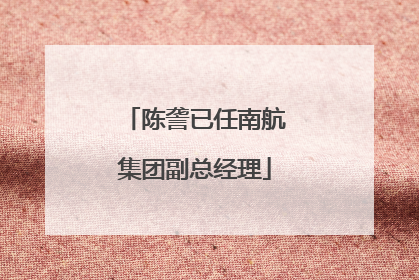 陈詟已任南航集团副总经理