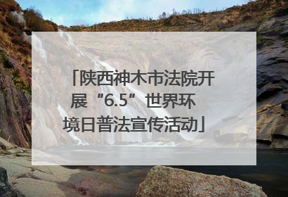 陕西神木市法院开展“6.5”世界环境日普法宣传活动