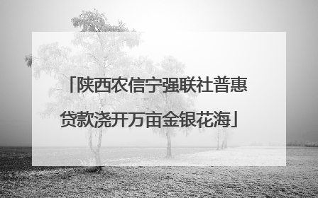 陕西农信宁强联社普惠贷款浇开万亩金银花海