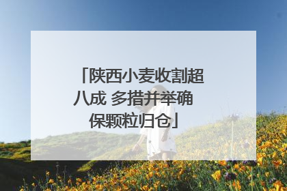 陕西小麦收割超八成 多措并举确保颗粒归仓