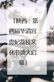 陕西：第四届华清宫贵妃荔枝文化节盛大启幕