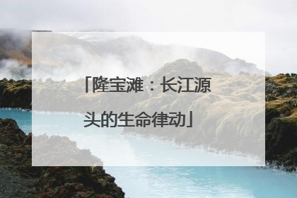 隆宝滩：长江源头的生命律动
